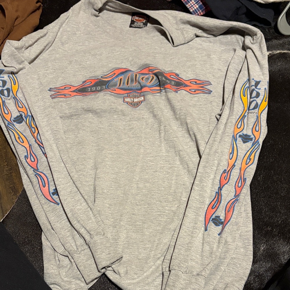 Harley-Davidson Gray Long Sleeve with Colorful Flame Graphics